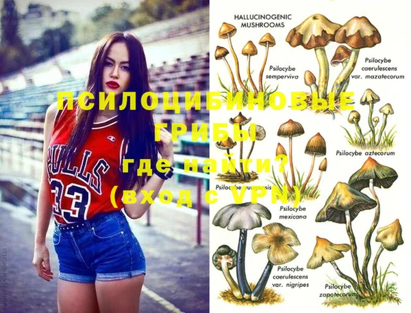 стафф Балахна