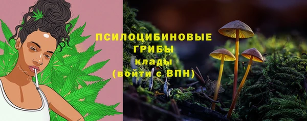 стафф Балахна
