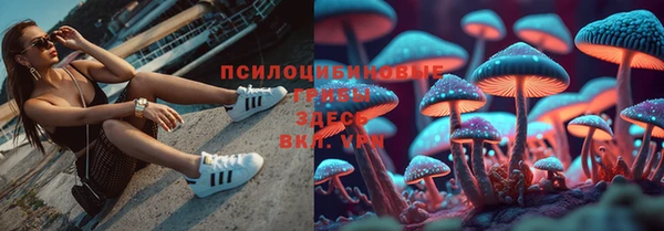 стафф Балахна